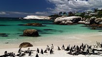 Cape Town Day Tours