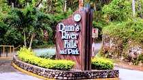 Dunn's River Falls Tour from Lucea