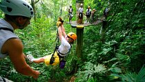 Adventure Combo Tour: Zipline adventure and Tortuguero Canals
