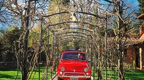 Private Vintage Fiat 500 tour in Chianti