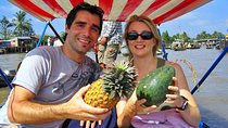 Mekong Delta Tour Full Day Cai Be-Vinh Long 