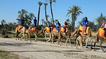 Camel ride tour in Marrakech