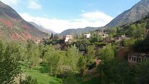 Ourika Valley Full Day Trip from Marrakech