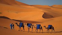 Sahara Desert Private Tour: Merzouga from Marrakech 3 day