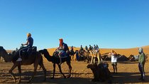 Morocco desert tours from Marrakech 2 days