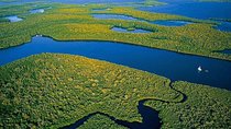 Private 4 Hour Everglades Tour Experience in the Wilderness