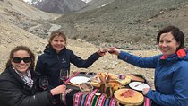 Private Tour: Andes Mountains with Wine Tasting from Santiago