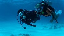 Day Scuba diving trip from Hurghada