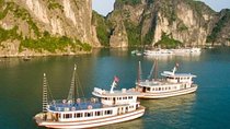 6 Hour Cruise in Hanoi