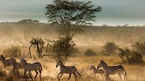 6 Days Tanzania Budget Camping Safari