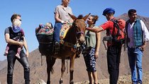 Atlas Mountains Day Tour with Camel Ride 
