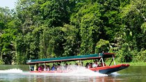 Tortuguero National Park Eco Adventure Canoe Tour from San Jose