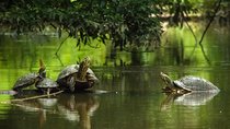 2 Days Tortuguero National Park Eco Adventure Tour