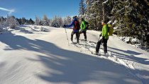 Snowshoes in the Pyrenees from Barcelona - Private Tour