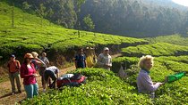 Kerala Cycle, Trek & Houseboat Tour