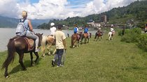 Horse Riding From Pokhara Lakeside to Sarangkot | Pony trek in Pokhara, Nepal
