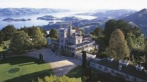Dunedin Shore Excursion - Sightseeing, Larnach Castle, Chinese Garden & Museum