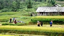 Authentic Sapa Trekking With Local Family Homestay (2d1n by bus)