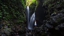 Gitgit and Alingaling Waterfalls Private Group Tour - Full Day