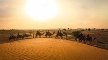 Dubai Sunset Camel Ride & BBQ Dinner at Al Khayma Camp
