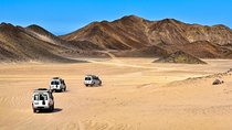 Super Desert Safari (4WD, Quad Bike, Camel Ride, BBQ Dinner & Drinks) 