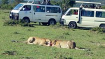 Maasai Mara 2-Day Safari Tour from Nairobi
