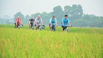 Bicycle Tours Hanoi: Full Day Bicycle Tour Hanoi Countryside