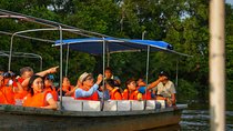 Klias Wildlife Safari River Cruise from Kota Kinabalu