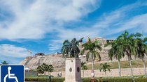  Shore excursion Accessible sightseeing tour 