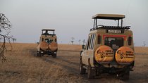 4 Days Game drives Safari Tarangire, Serengeti and Ngorongoro Crater