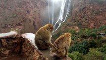Marrakech Day Tour to Ouzoud Waterfalls