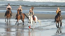 Horse Riding At Black Sand Beach & Two Places Waterfalls