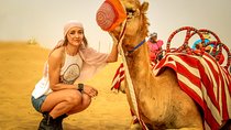 Dubai Desert Safari, Camel Ride, Refreshment & Quad Bike Option