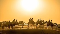 Dubai Sunset Camel Trekking with Shows & BBQ Dinner