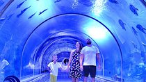 Official Account: Hurghada Grand Aquarium Entrance Tickets 