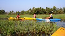 Kayaking on Sal Backwaters - Goa