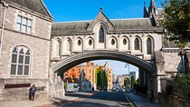 Dublin Half Day Tour with a Local: 100% Personalized & Private
