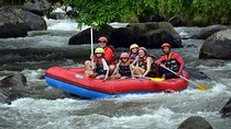 Ayung River Rafting Adventure with Lunch - Free Transfer