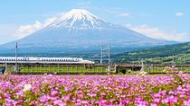 Bullet Train and Mt. Fuji Famous Food Tour