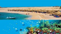 Dolphin House Snorkeling Day Cruise with Lunch from Hurghada