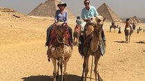 Giza Pyramids and Sphinx Half Day Tour Included Camel Ride 