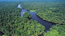 The Authentic Tortuguero National Park One Day Tour