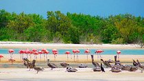 HOLBOX ISLAND TOUR from Riviera Maya and Cancun (Private)