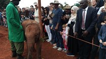 David Sheldrick Half-Day Tour