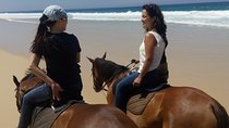 Horse Riding Tour on the Beach Lisbon region