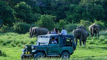 Udawalawe Safari DayTrip frm Bentota/Kalutara/Ahungalla/Hikkaduwa