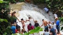 Private Dunns River Falls and Beach Break Excursion from Falmouth