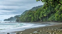 Corcovado National Park One Day Tour