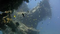 2 PADI Certified Dives at Tulamben from Bali
