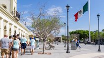 Cabo San Lucas and San Jose del Cabo Sightseeing Tour